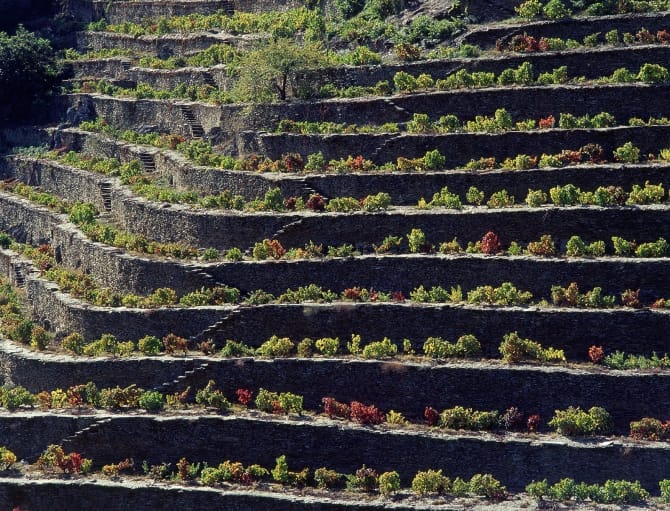 Quinta do Fornelo, Tabuaço <br>© Coleção Museu do Douro/ Egídio Santos